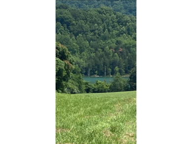 Norris Lake Acreage For Sale in Sharps Chapel Tennessee