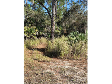 Reedy Lake Acreage Sale Pending in Frostproof Florida