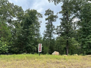 Welcome to Lot 2 at Hamilton Farms, a beautiful 10.33-acre - photo 2