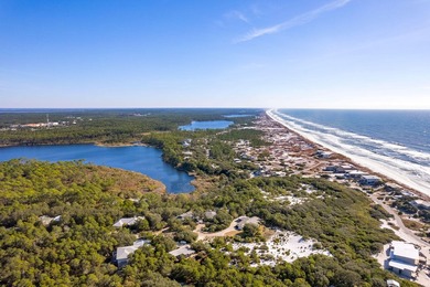 Completely Renovated & Fully Furnished! Ultra- Rare Tops'l - photo 44