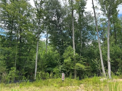 Welcome to Lot 2 at Hamilton Farms, a beautiful 10.33-acre - photo 5