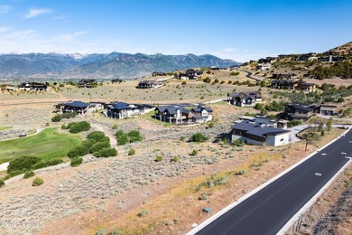 Discover one of the rare opportunities to own a homesite - photo 8