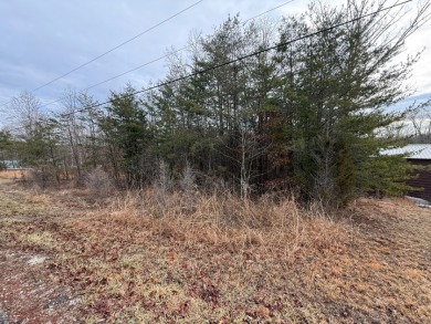 Lake Lot - photo 2