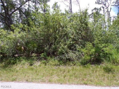 Port Charlotte Waterway Lakes Area Lot For Sale in Port Charlotte Florida