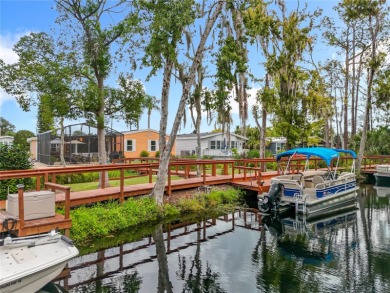 Lake Home For Sale in Tavares, Florida