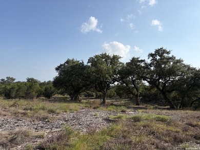 Long Range Views on a Corner Lot with Mature Trees!!! Lot 17 has - photo 5