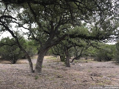 Long Range Views on a Corner Lot with Mature Trees!!! Lot 17 has - photo 7