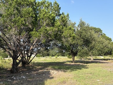 Long Range Views on a Corner Lot with Mature Trees!!! Lot 17 has - photo 9