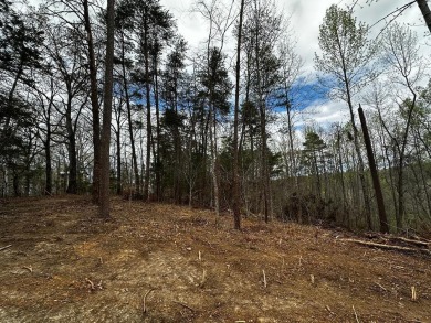 Lake Lot Sale Pending in Sevierville, Tennessee