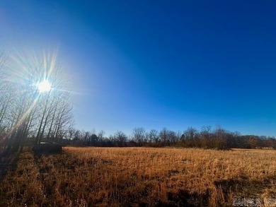 (private lake, pond, creek) Acreage For Sale in Pleasant Grove Arkansas