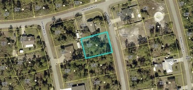 Lehigh Acres Area Lot For Sale in Lehigh Acres Florida