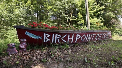 Birch Point Resort offers a rare opportunity to acquire a - photo 2