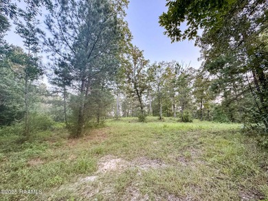 (private lake, pond, coastal) Acreage For Sale in Turkey Creek Louisiana
