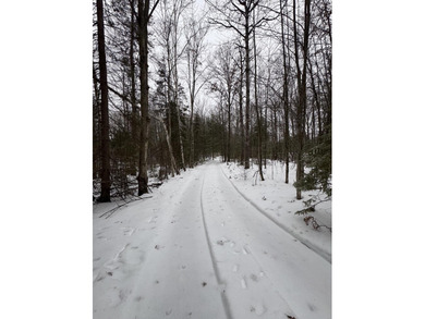 Houghton Lake Acreage For Sale in Houghton Lake Michigan