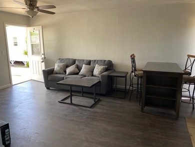 Market Rental income $20,000/mo. Main home is a rectangle with - photo 12