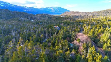 One of the largest cleared lots in Port Alexander, this nearly - photo 15