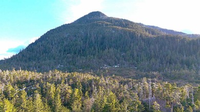 One of the largest cleared lots in Port Alexander, this nearly - photo 16