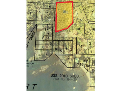 One of the largest cleared lots in Port Alexander, this nearly - photo 19