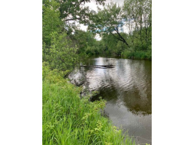 Big Rib River - Taylor County Acreage For Sale in Wausau Wisconsin