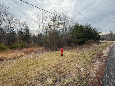 Lake Lot - photo 5
