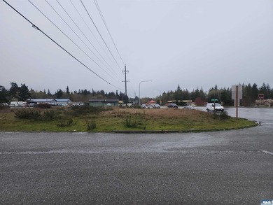 Terrific eastside commercial parcel ready to build on. Sewer is - photo 11