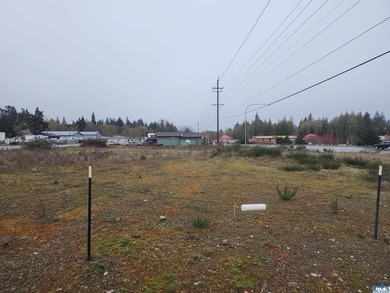 Terrific eastside commercial parcel ready to build on. Sewer is - photo 13