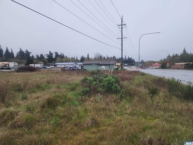 Terrific eastside commercial parcel ready to build on. Sewer is - photo 14