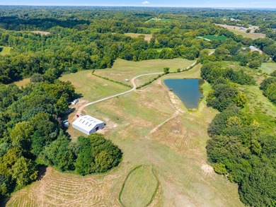 (private lake, pond, creek) Acreage For Sale in Drummonds Tennessee