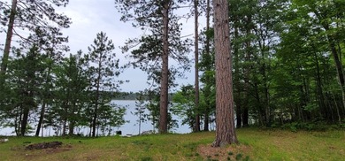 Simms Lake in Douglas County is where you will find this - photo 2