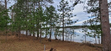 Simms Lake in Douglas County is where you will find this - photo 3