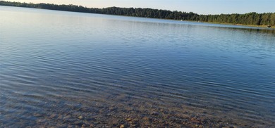 Simms Lake in Douglas County is where you will find this - photo 4