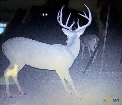 Welcome to true Texas country living on 44.978 unrestricted - photo 5