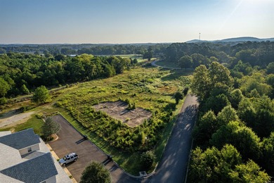 Seize this exceptional investment opportunity to unlock the full - photo 10