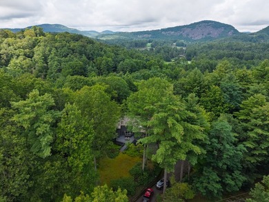 This family home on a large lot in the Chattooga Club has a - photo 8