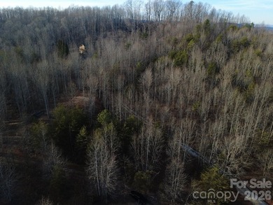 Embrace the tranquil mountain lifestyle on this remarkable - photo 13