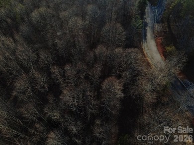 Embrace the tranquil mountain lifestyle on this remarkable - photo 15