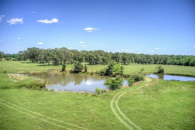 MULTI-GENERATIONAL OPPORTUNITY. BUY LAND- They aren't making - photo 16