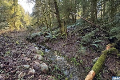 An exceptional 5-acre parcel defined by scenic beauty and - photo 16