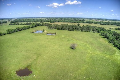 MULTI-GENERATIONAL OPPORTUNITY. BUY LAND- They aren't making - photo 17