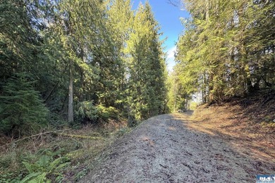 An exceptional 5-acre parcel defined by scenic beauty and - photo 18