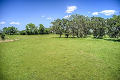 MULTI-GENERATIONAL OPPORTUNITY. BUY LAND- They aren't making - photo 20