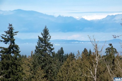 An exceptional 5-acre parcel defined by scenic beauty and - photo 21