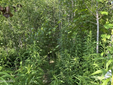 Calling all nature lovers, hikers & outdoor enthusiasts! If - photo 28