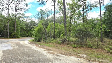 Build your dream home on this beautiful 1.7-acre wooded homesite - photo 2
