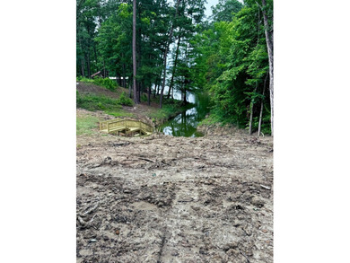 Don't miss this opportunity to own an affordable waterfront - photo 4