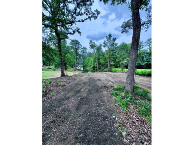 Don't miss this opportunity to own an affordable waterfront - photo 5