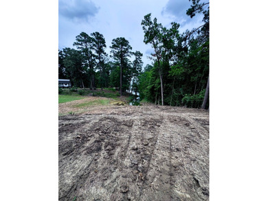 Don't miss this opportunity to own an affordable waterfront - photo 6