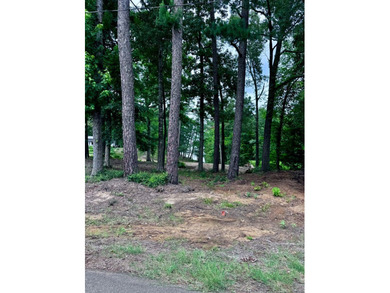 Don't miss this opportunity to own an affordable waterfront - photo 7