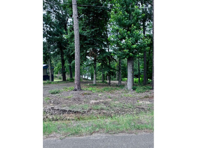 Don't miss this opportunity to own an affordable waterfront - photo 8