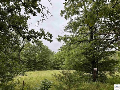 This is the perfect 15 acre piece to build your dream home of - photo 2